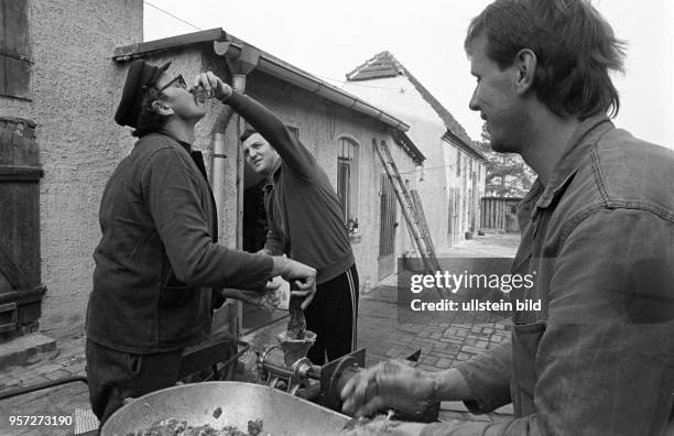 Schlachtfest Ende November 1986 in Oberhütte bei Eisleben im Mansfelder Land: Hier erhält ein Mann Hilfestellung beim Schnaps-Trinken, da er gerade...