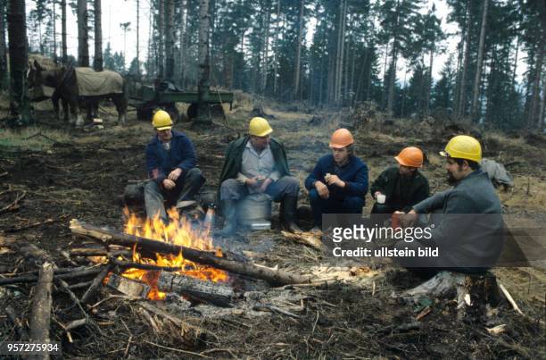 Die Revierförsterin Gaby Blaurock sitzt mit Forstarbeitern am Feuer bei einer Arbeitspause beim Holzeinschlag im Thüringer Wald bei Hinternah in der...