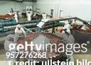 In einer Werkhalle der Halberstädter Würstchen- und Konservenfabrik GmbH werden Heißwürstchen von Mitarbeiterinnen in Dosen verteilt. Die...