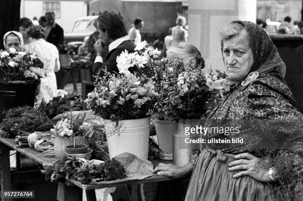 Großer Andrang herrscht an den Ständen für Gemüse und Blumen auf einem Bauernmarkt in Cottbus, aufgenommen im August 1978. Eine ältere Frau mit...