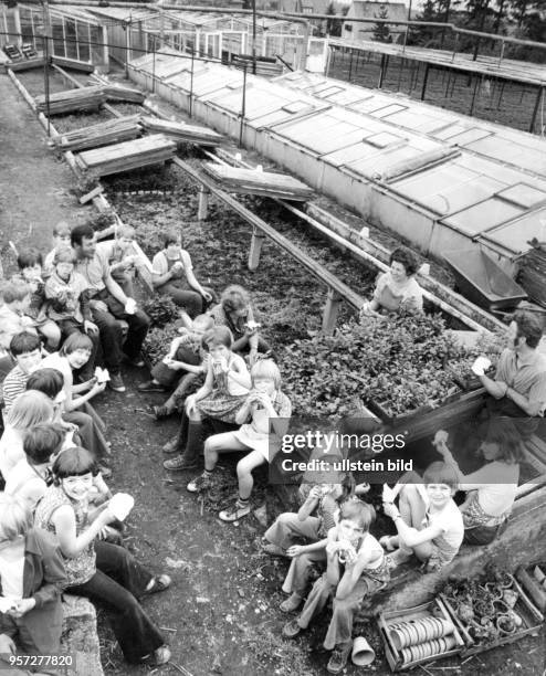 Schüler aus Dresden bekommen beim Besuch ihrer Patenbrigade, eine Gärtnereigenossenschaft in Dresden-Bühlau, ein Eis spendiert, aufgenommen 1976. Die...