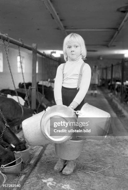 Kinder besuchen ihre Patenbrigade in einem Kuhstall einer LPG in Groß Godems bei Ludwigslust und lernen, was alles im Kuhstall zu tun ist,...