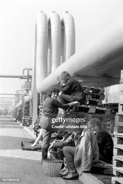 Frauen sitzen unter den Fernwärmerohren, die aus dem benachbarten Kohlekraftwerk Vockerode die Wärme in die Gewächshäuser des Volkseigenen Gutes...