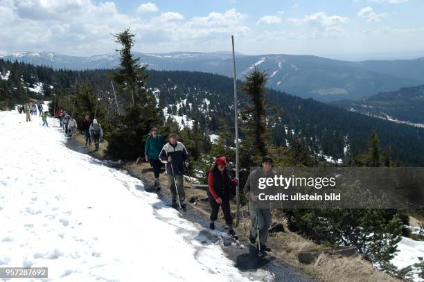 Wanderer sind am auf dem tschechisch-polnischen Freundschaftsweg im Riesengebirge in Richtung Elbquelle unterwegs. Der beliebte Wanderweg liegt...