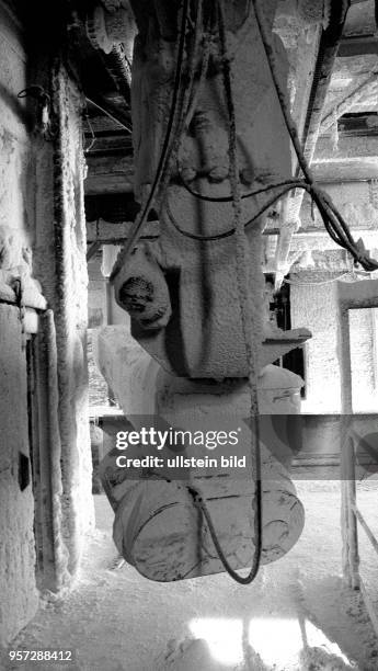 Im Salzbergwerk Bernburg wird seit 1968 Steinsalz gefördert. Der unterirdische Abbau im Salzstock erfolgt vorwiegend in Kammern, das gewonnene Salz...