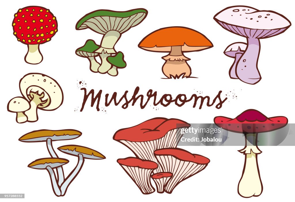 Mushrooms Clip Art Collection