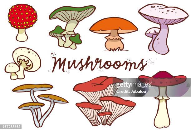 mushrooms clip art collection - edible mushroom stock illustrations
