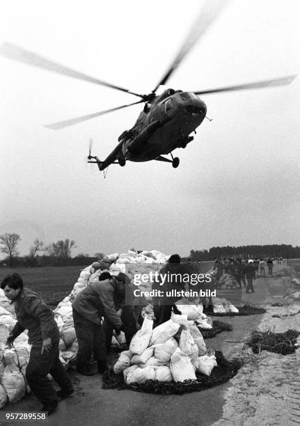 Hochwasser im Frühjahr 1988. Einsatzkräfte der Nationalen Volksarmee verstärken den Deich im Kreis Osterburg mit Sandsäcken, die auch von...