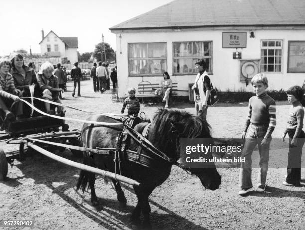 Start eines Ausfluges mit dem Ponywagen am Hafen von Vitte auf der Insel Hiddensee, aufgenommen im Sommer 1978. Urlaub an der Ostsee war in der DDR...