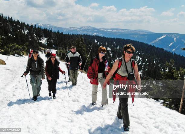 Wanderer sind am auf dem tschechisch-polnischen Freundschaftsweg im Riesengebirge in Richtung Elbquelle unterwegs. Der beliebte Wanderweg liegt...