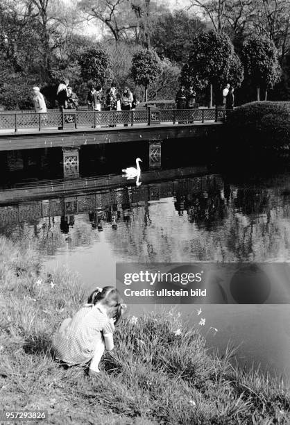 Ein Kind betrachtet 1980 im Park von Sanssouci an einem Wasserlauf die Blumen. Schloss Sanssouci liegt im östlichen Teil des gleichnamigen Parks und...