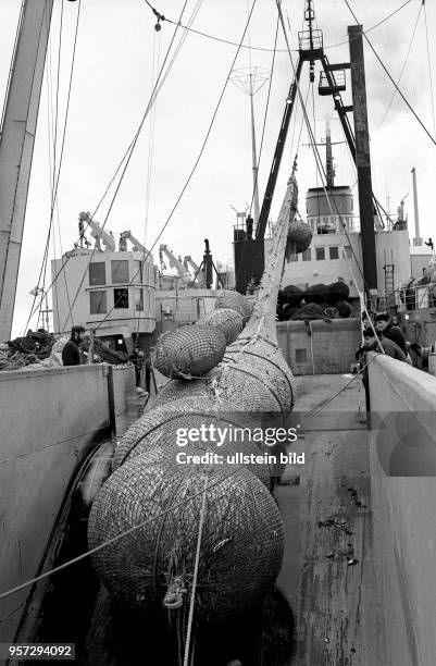 Rostock / Fischfang / Hochseefischerei / Dezember 1968 / Ein voller Uebergabe-Steert vom Zubringer-Trawler wird an Deck des Fabrik-Mutterschiffes...