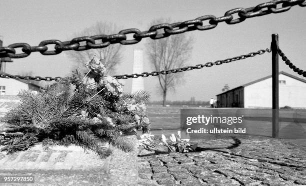 Blumen wurden von Besuchern der "Nationalen Mahn- und Gedenkstätte Sachsenhausen" auf dem Gelände des ehemaligen Konzentrationslagers Sachsenhausen...