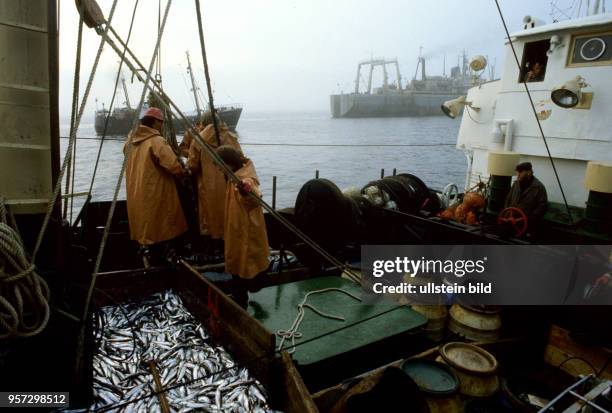 Auf einen guten Heringsfang hoffen die auf der Ostsee kreuzenden Schiffe der DDR-Fischereiflotte, aufgenommen im Mai 1987. Hier Fischer an Deck eines...