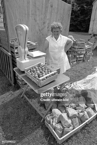 Pressefest des "Mansfeld Echo" im Naherholungsgebiet Vatteröder Teich in Vatterode , aufgenommen im Juli 1980. Hier eine Frau an ihrem Tomaten-Stand....