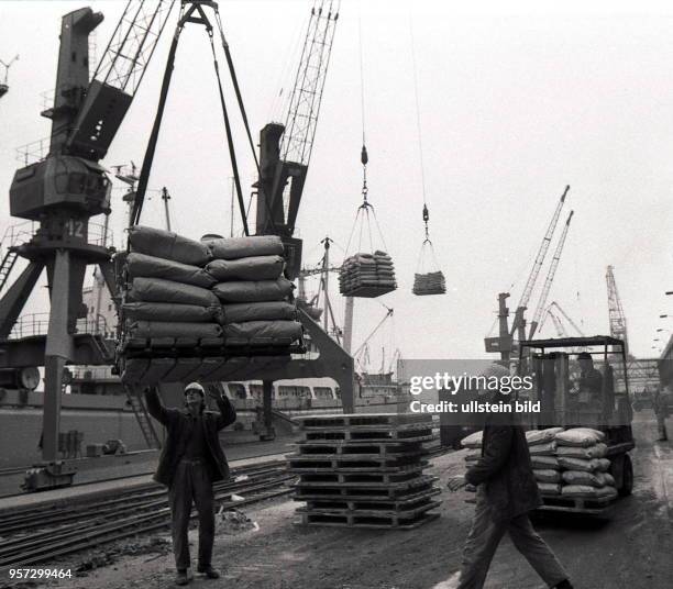 Zementumschlag im Seehafen Rostock, aufgenommen in den 1980er Jahren. Papiersäcke mit hochwertigem Portland-Zement werden verladen, nachdem sie von...