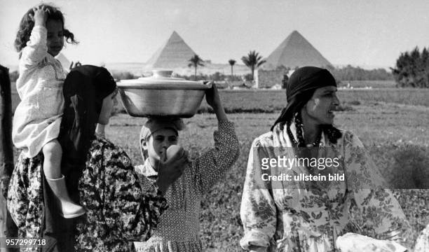 Fellachen-Frauen auf einem Feld vor den Pyramiden nahe Kairo, aufgenommen 1972. Foto. Heinz Junge