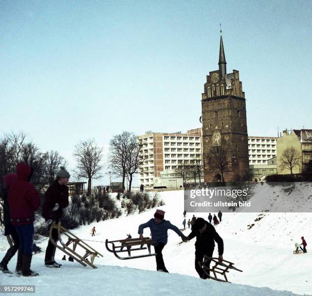 Mit viel Spaß nutzen Mädchen und Jungen im Winter 1980 die Hügel der Rostocker Wallanlagen zum Schlittenfahren. Im Hintergrund das historische...