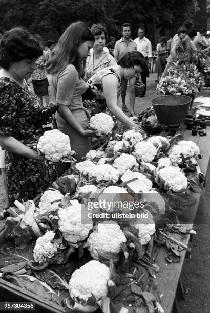 Großer Andrang herrscht an den Ständen für Gemüse und Blumen auf einem Bauernmarkt in Cottbus, aufgenommen im August 1978. An diesem Tag ist frisch...