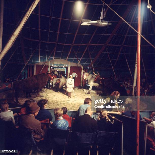 Eine Tier-Dressur im Zirkuszelt vom Zirkus Hein, undatiertes Foto aus dem Jahr 1974. Der Zirkus Hein wurde nach 1933 als Familienzirkus gegründet,...