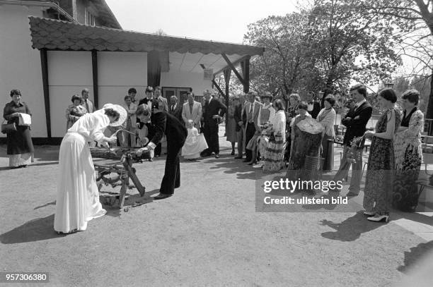 Hochzeit in Mansfeld im Kupferbergbau-Gebiet Mansfelder Land, aufgenommen am . Hier das Brautpaar nach der Trauung bei einem der üblichen...