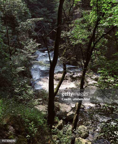 Die Bode, prägendes Gewässer im Harz, mit ihrem Lauf durch das durch Stein, Fels und Wald geschlungene Flußbett, aufgenommen 1987.
