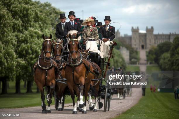 The Coaching Marathon makes its way along the Long Walk on the third day of the Royal Windsor Horse Show on May 11, 2018 in Windsor, England. The...