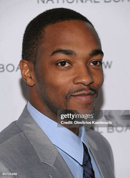 Anthony Mackie attends the 2010 National Board of Review Awards Gala at Cipriani 42nd Street on January 12, 2010 in New York City.