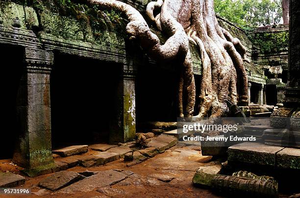 ta phrom, angkor wat, cambodia - wat stock pictures, royalty-free photos & images