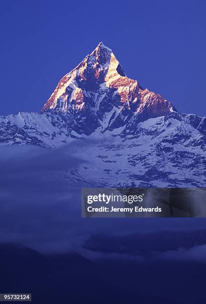 machhapuchre (fishtail) mountain in the annapurna himalaya range - nepal mountain stock pictures, royalty-free photos & images