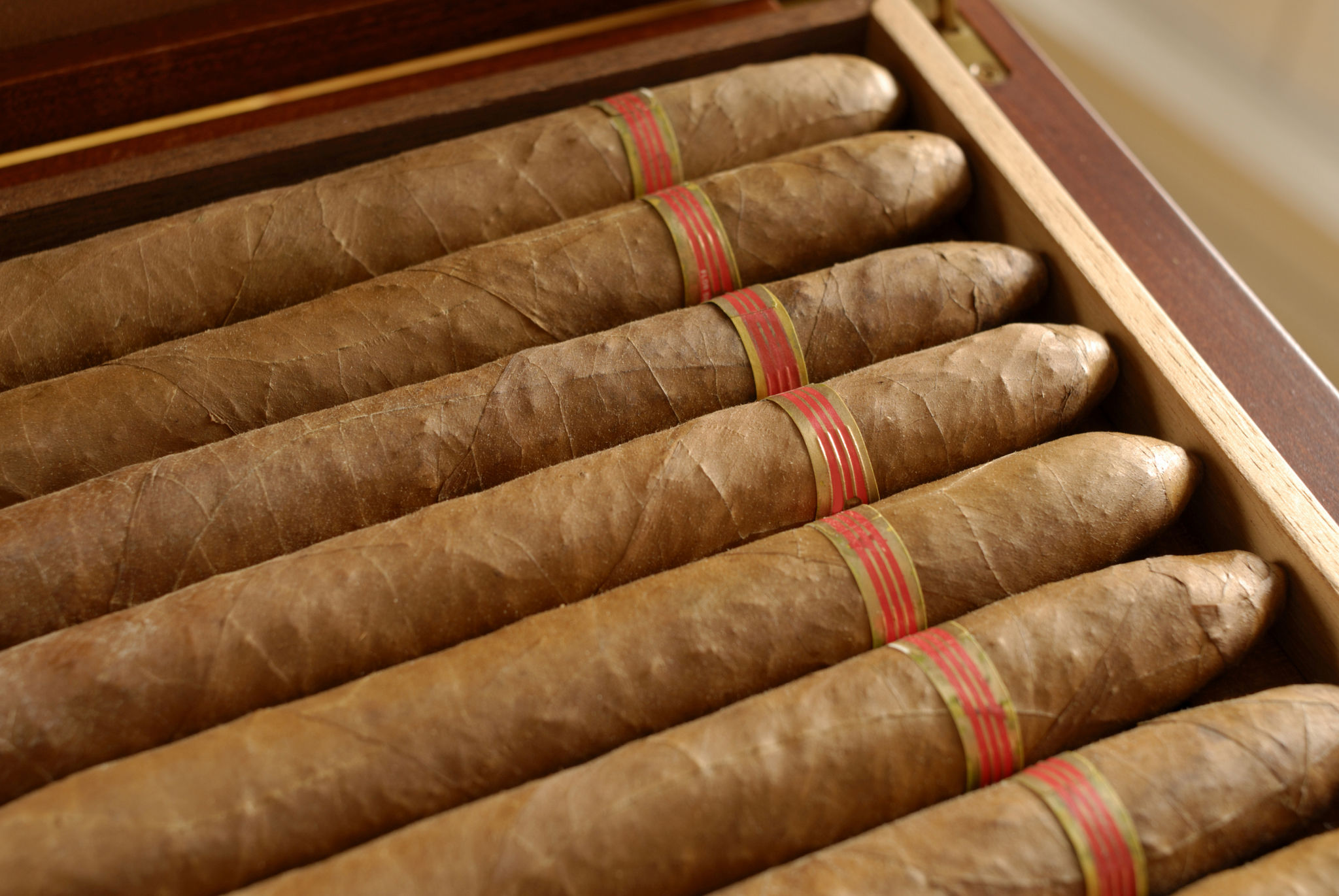 cigar club meeting
