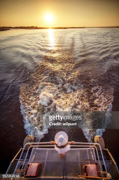high angle rear view of female with sun hat on the back of a boat at sunset over horizon - chobe national park stock pictures, royalty-free photos & images