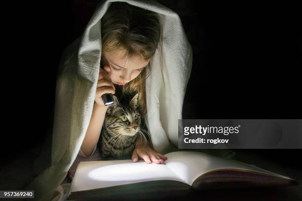 毛布の下で暗闇の中で懐中電灯で本を読んで猫の女の子。 - six under ストックフォトと画像