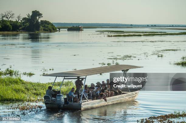 group of photographers photographing wildlife in chobe on a boat - chobe national park stock pictures, royalty-free photos & images