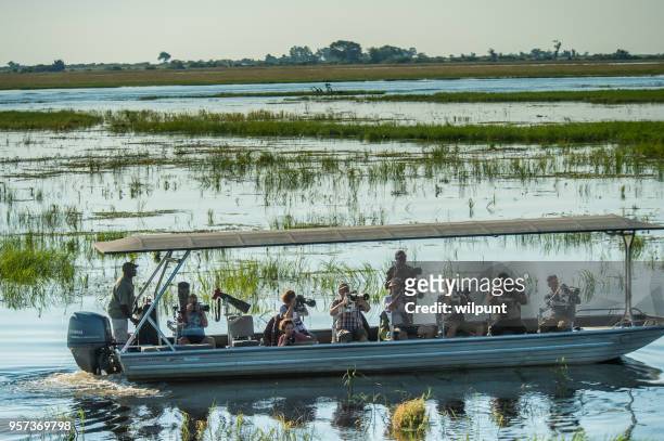 gruppo di fotografi che fotografano la fauna selvatica sul fiume chobe da una barca - attrezzatura fotografica foto e immagini stock