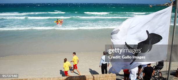 The search continues for the body of an unknown foreign man who was torn apart by a Great White shark, after taking a swim in the shallow waters at...