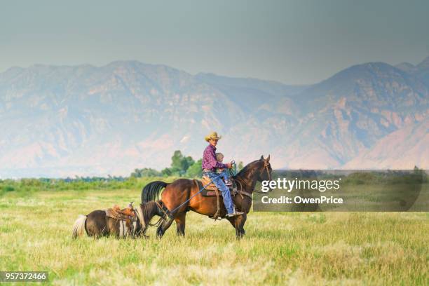 unge cowboy leder en liten tjej på hästryggen. - price utah bildbanksfoton och bilder