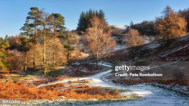 Howes Winter 322 Tarn Hows Stock Photos, High-Res Pictures, and Images - Getty Images