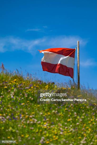 flag of austria - österreichische flagge stock-fotos und bilder