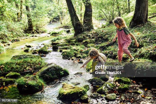 day at the river - kids playing imagens e fotografias de stock