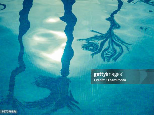 reflections of palm trees on water surface of a swimming pool - swimming pool texture stockfoto's en -beelden