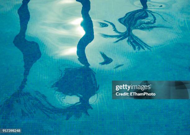 reflections of palm trees on water surface of a swimming pool - swimming pool imagens e fotografias de stock