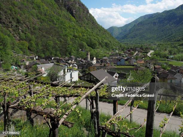 giumaglio, traditional village in maggia valley, ticino, switzerland - giumaglio stock pictures, royalty-free photos & images