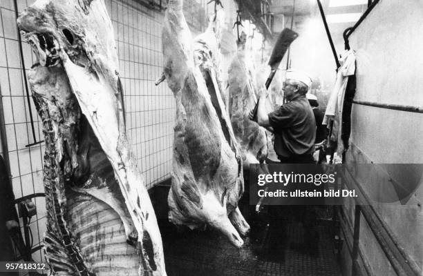 445 Schlachthof Stock Photos, High-Res Pictures, and Images - Getty Images