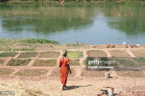 river frau - niger river stock-fotos und bilder