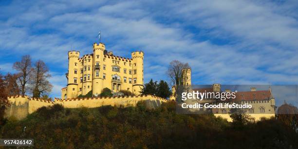 hohenschwangau castle - hohenschwangau castle stock pictures, royalty-free photos & images
