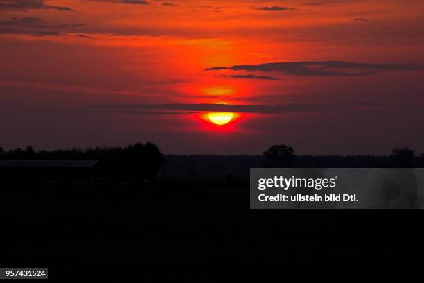 Sonnenaufgang rote Sonne zwischen dunklen Wolkenbaendern mit Morgenrot ueber Viehweide mit Rinder