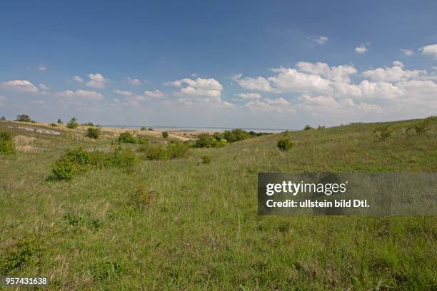 Thenauriegel Trockenrasen mit Bueschen vor See und blauem Himmel mit weissen Wolken