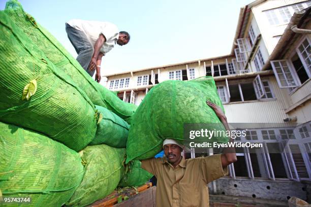 Worker at a tea factory in Kumily on January 02, 2009 in Kumily near Trivandrum, Kerala, South India.