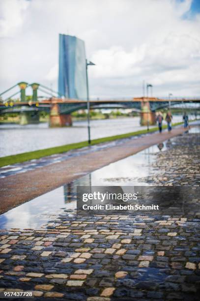 riverside of river main with view over ecb and bridges - europeiska centralbankens säte bildbanksfoton och bilder